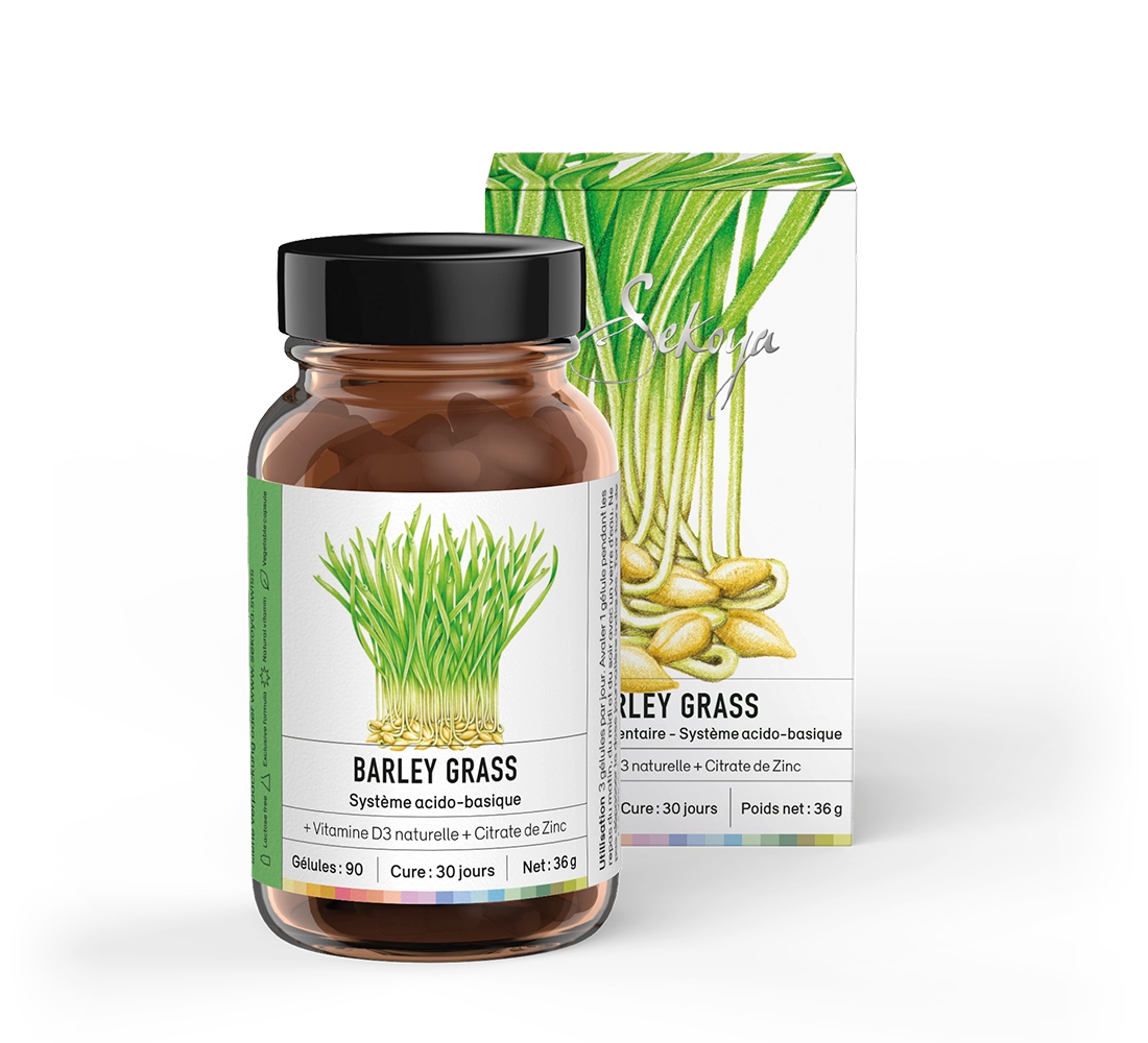 Barley grass - Sekoya