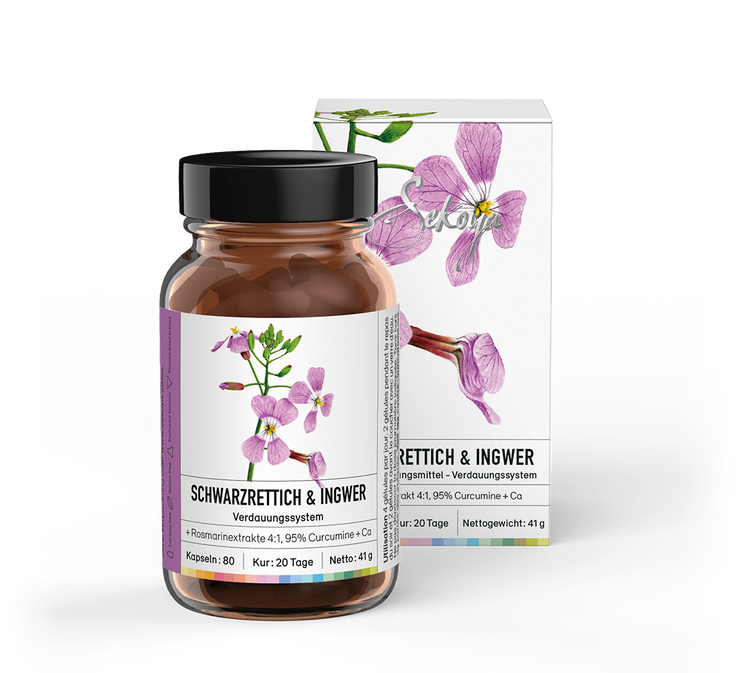 Radis noir & Gingembre